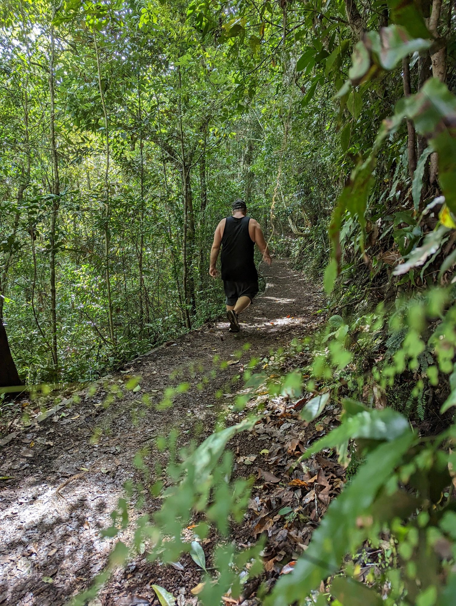 Walking a rainforest trail on a community outing
